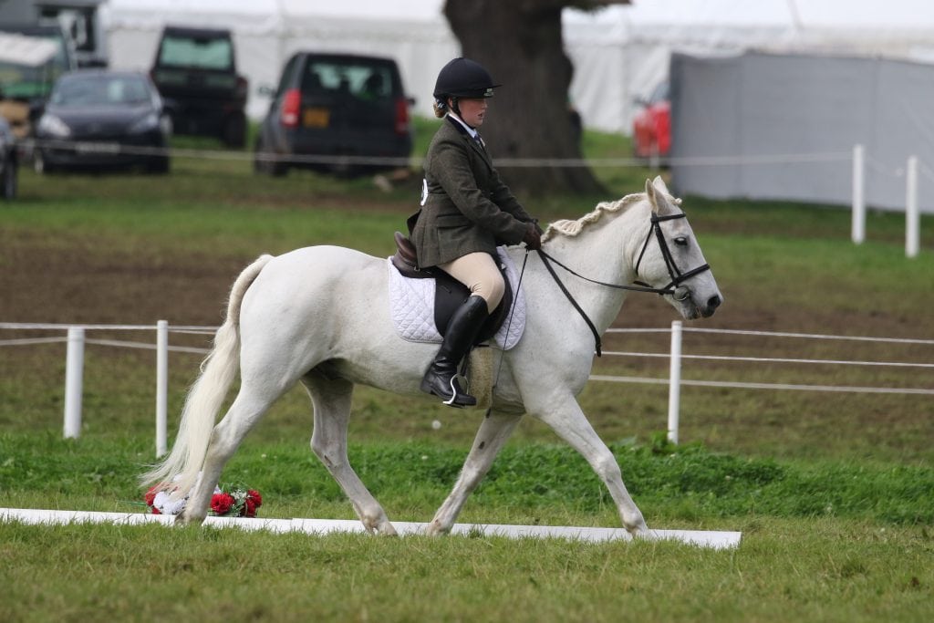 Park Lane Dressage - Emma Smith Dougie